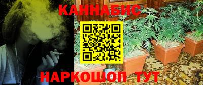 крисы Беслан
