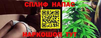 крисы Беслан