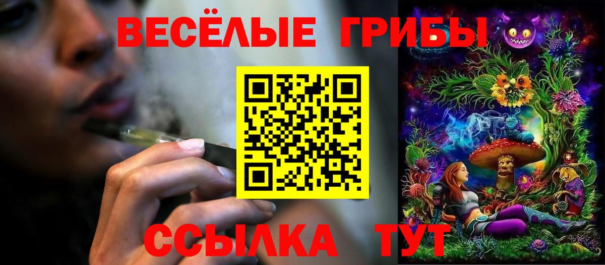 Ипатово  Псилоцибиновые грибы MAGIC MUSHROOMS  Галлюциногенные грибы Psilocybine cubensis  Вход с VPN 