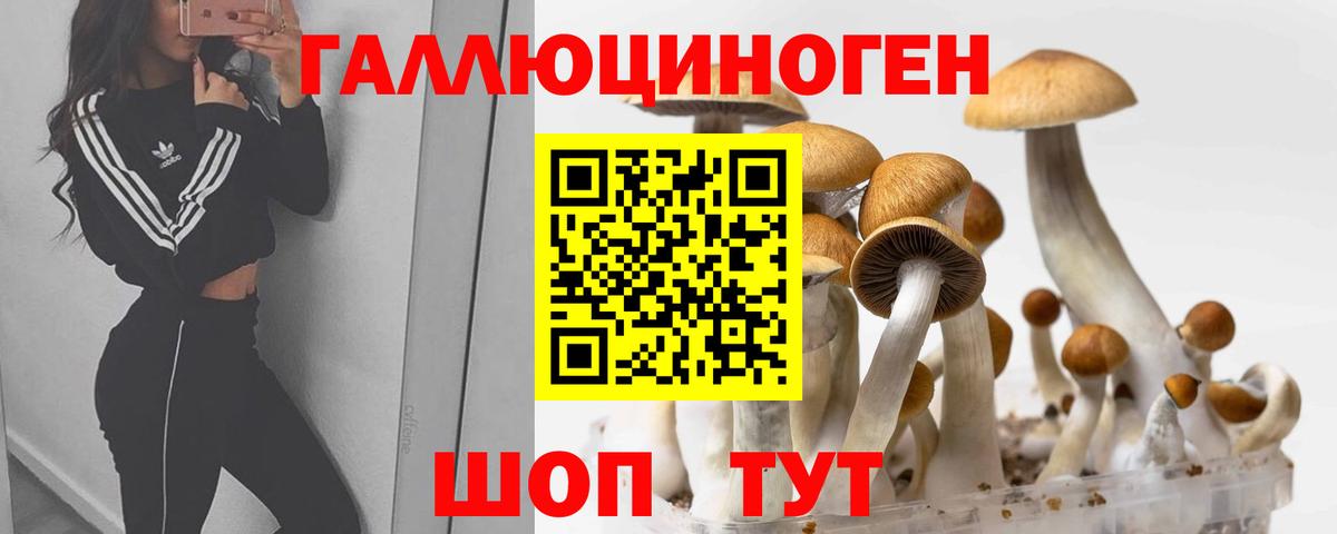 Галлюциногенные грибы Magic Shrooms Ипатово